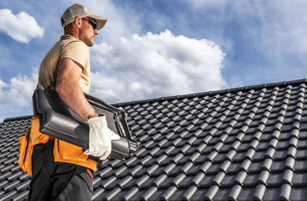 Best Roof Leak Repair  in Brandon, SD